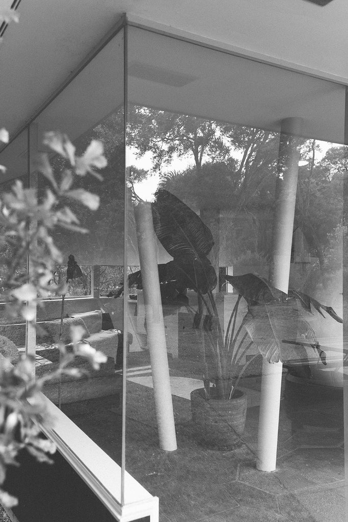 Haus #3 | Olive & Natural