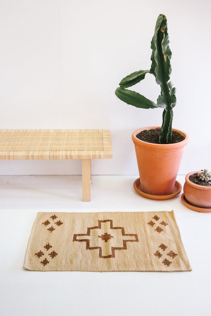 Mini Southwest #1 | Bone & Latte