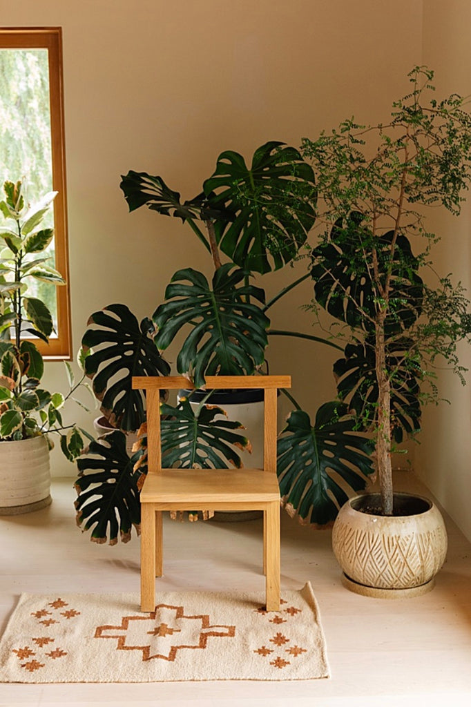 Mini Southwest #1 | Bone & Latte