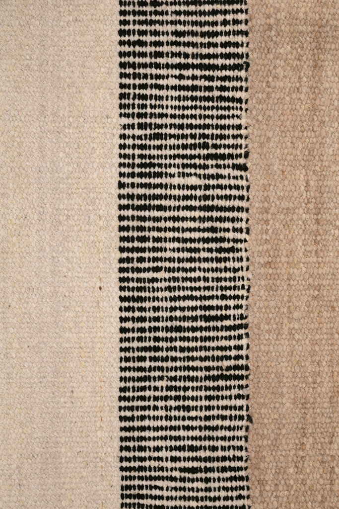 Paloma #4595