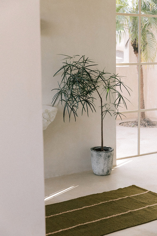 Forma #3 Runner #5149